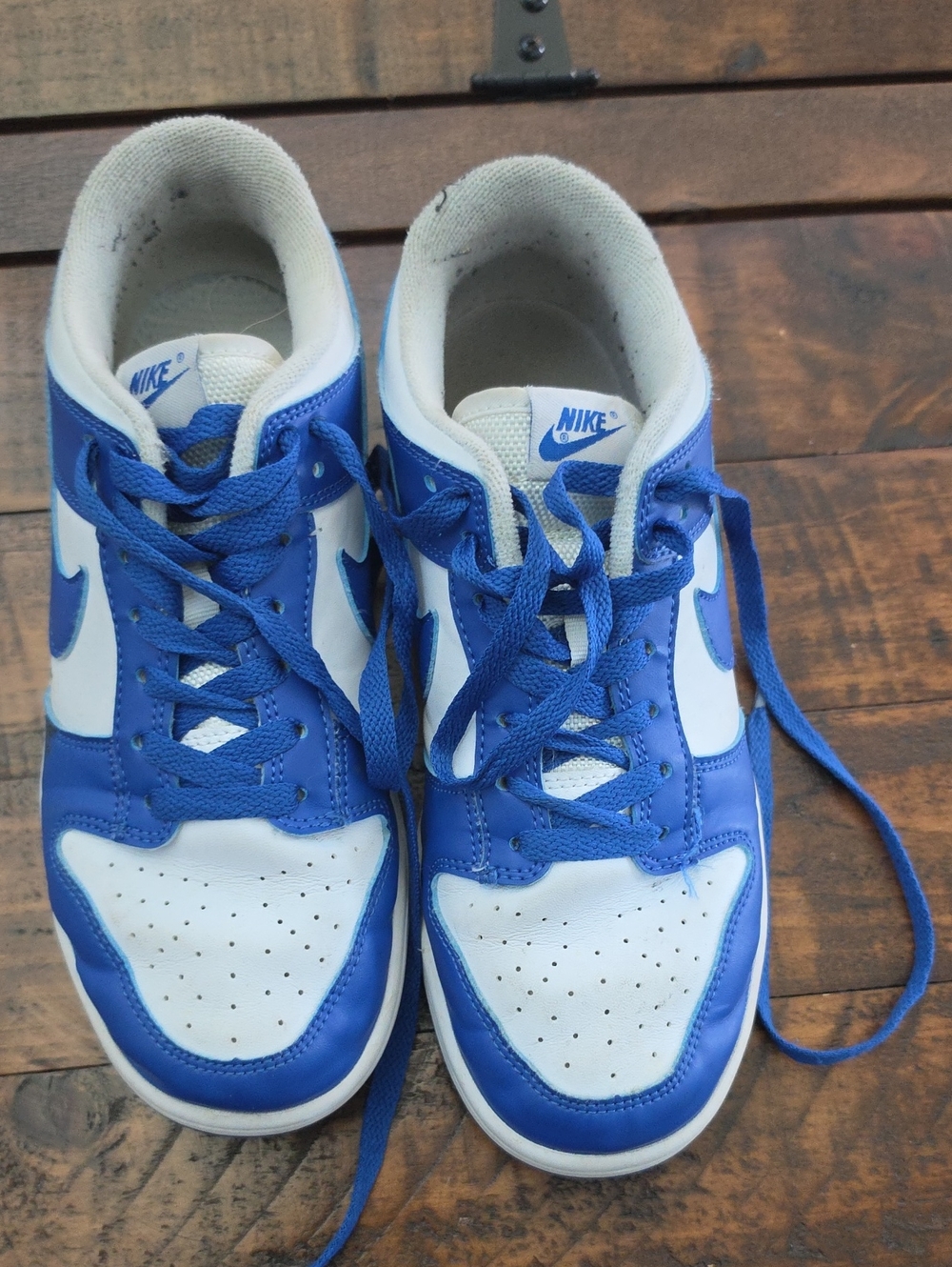 Nike Dunks Kids Royal Blue and White Low-Top Sneakers